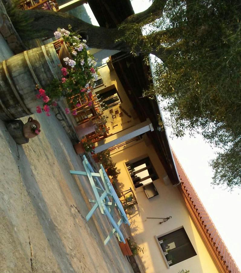 B&B La Taerra Porto San Paolo  Exteriér fotografie